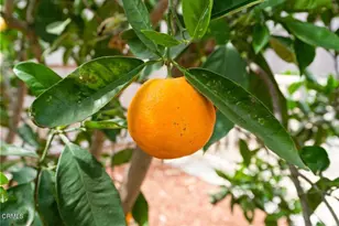 215 Apple Ave, Ventura, CA 93004 - Photo 23