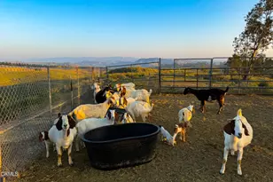 14855 Middle Ranch Rd, Moorpark, CA 93021 - Photo 63