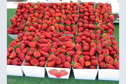 160 W Fiesta Green, Port Hueneme, CA 93041 - Photo 21