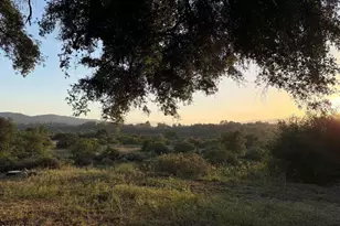 1035 Moreno Dr, Ojai, CA 93023 - Photo 39