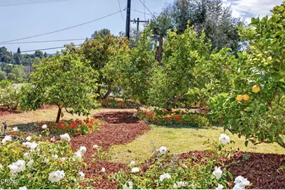 98 Howard Avenue, Oak View, CA 93022 - Photo 49