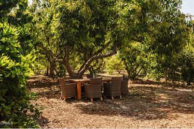 280 Cummings Road, Santa Paula, CA 93060 - Photo 51