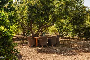 280 Cummings Rd, Santa Paula, CA 93060 - Photo 51