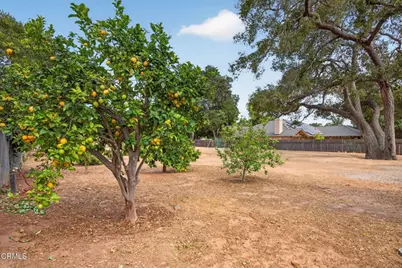 1186 S Rice Road, Ojai, CA 93023 - Photo 47