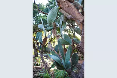 4222 Thacher Road, Ojai, CA 93023 - Photo 35