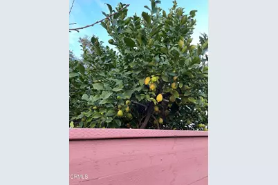 211 Fox Street, Ojai, CA 93023 - Photo 15