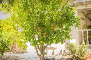 919 E Matilija St, Ojai, CA 93023 - Photo 43