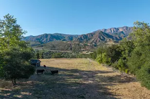 13100 Ojai Rd, Santa Paula, CA 93060 - Photo 57