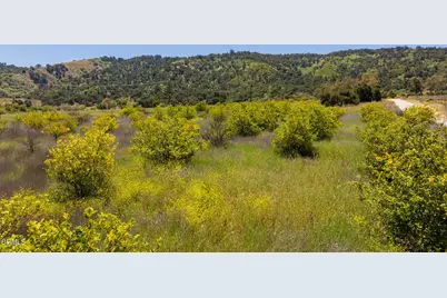12400 Ojai Santa Paula Road, Ojai, CA 93023 - Photo 17