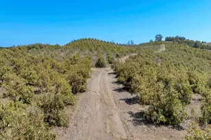 7905 Balcom Canyon Rd, Somis, CA 93066 - Photo 71