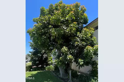 351 S Steckel Drive, Santa Paula, CA 93060 - Photo 7