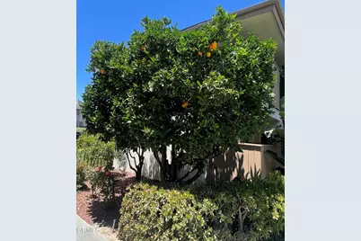 351 S Steckel Drive, Santa Paula, CA 93060 - Photo 11