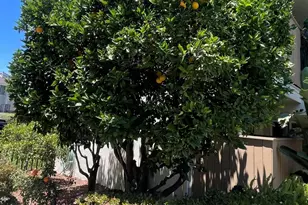 351 S Steckel Dr, Santa Paula, CA 93060 - Photo 11