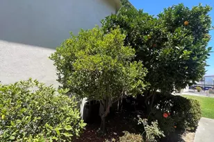 351 S Steckel Dr, Santa Paula, CA 93060 - Photo 9