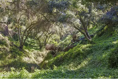 4620 Casitas Pass Road, Ventura, CA 93001 - Photo 9