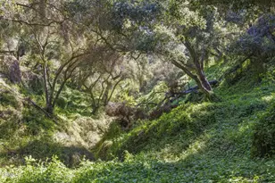 4620 Casitas Pass Rd, Ventura, CA 93001 - Photo 9