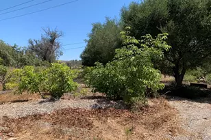 9210 Stockton Rd, Moorpark, CA 93021 - Photo 21