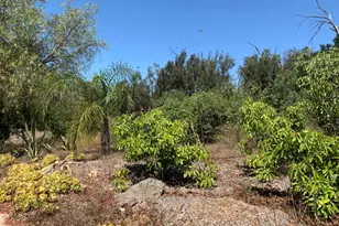 9210 Stockton Rd, Moorpark, CA 93021 - Photo 19