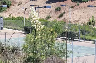 3269 White Birch Cir, Thousand Oaks, CA 91360 - Photo 21