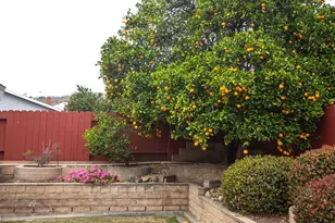 238 Brevard Ave, Ventura, CA 93003 - Photo 35