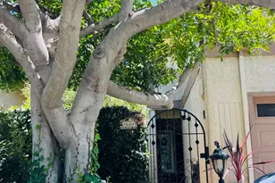 66 Paseo Esplendido, Camarillo, CA 93010 - Photo 45
