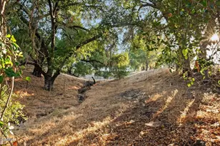11700 Topa Vista Rd, Santa Paula, CA 93060 - Photo 29
