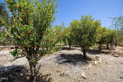 0 Grand Avenue, Ojai, CA 93023 - Photo 19
