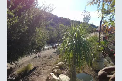 320 N Barbara Street, Ojai, CA 93023 - Photo 41