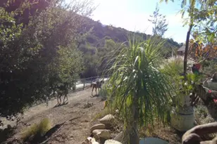 320 N Barbara St, Ojai, CA 93023 - Photo 41