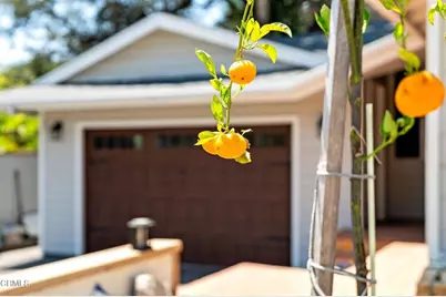 125 Oak Drive, Oak View, CA 93022 - Photo 5