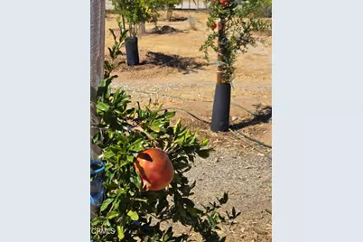 0 W Cor 12thw Avenue N-8, Palmdale, CA 93550 - Photo 9