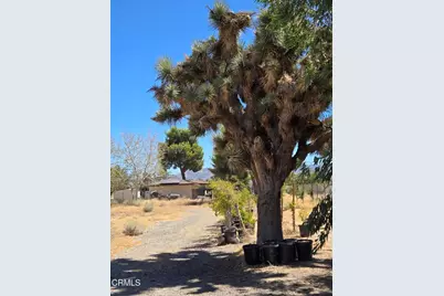 0 W Cor 12thw Avenue N-8, Palmdale, CA 93550 - Photo 13
