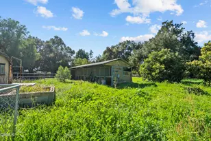1325 Cliff Ave, Fillmore, CA 93015 - Photo 59
