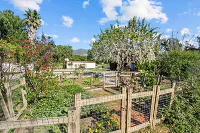 1325 Cliff Avenue, Fillmore, CA 93015 - Photo 51
