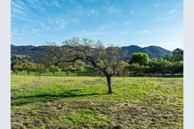 0 White Oak Road, Santa Ynez, CA 93460 - Photo 9