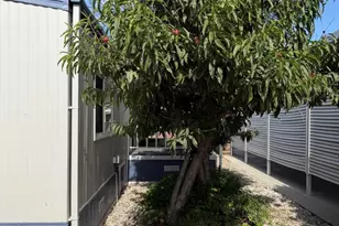 500 W Santa Maria Street, Santa Paula, CA 93060 - Photo 11