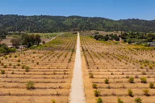 12400 Ojai Santa Paula Rd, Ojai, CA 93023 - Photo 31