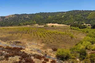 12400 Ojai Santa Paula Rd, Ojai, CA 93023 - Photo 15