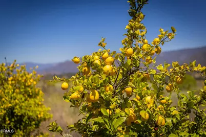 12400 Ojai Santa Paula Road, Ojai, CA 93023 - Photo 41