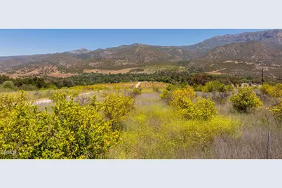 12400 Ojai Santa Paula Road, Ojai, CA 93023 - Photo 39