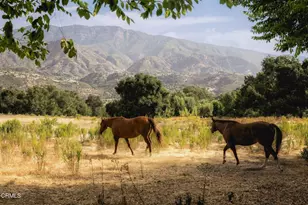 11400 Topa Vista Rd, Santa Paula, CA 93060 - Photo 31