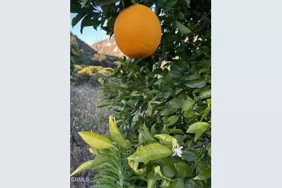 2500 , 2560 E Guiberson Road, Fillmore, CA 93015 - Photo 11