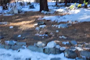 5464 Lone Pine Canyon Rd, Wrightwood, CA 92397 - Photo 11