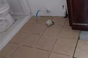 24134 National Trails, Oro Grande, CA 92368 - Photo 5