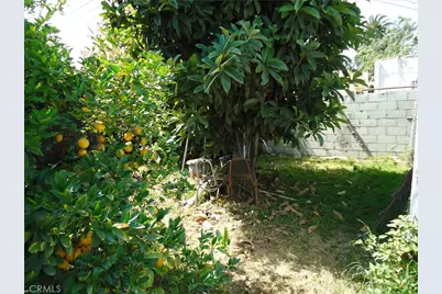 1723 Browning Blvd., Los Angeles, CA 90062 - Photo 3