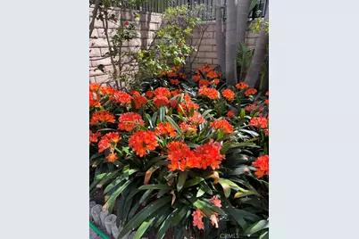 434 S Irving Boulevard, Los Angeles, CA 90020 - Photo 15