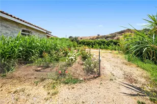 12605 Kagel Canyon Rd, Sylmar, CA 91342 - Photo 39