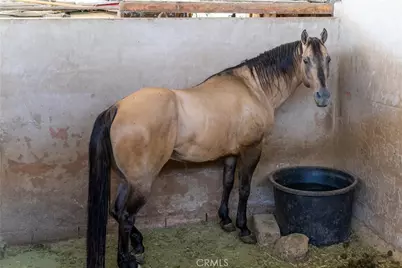 12605 Kagel Canyon Road, Sylmar, CA 91342 - Photo 45