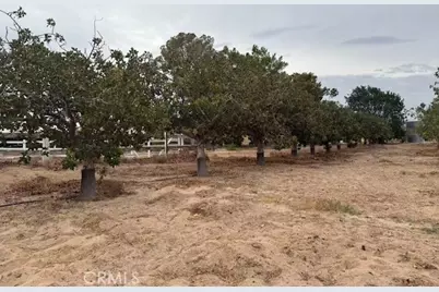 33979 Fremont Rd, Newberry Springs, CA 92365 - Photo 5