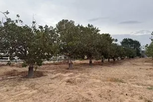 33979 Fremont Rd, Newberry Springs, CA 92365 - Photo 5